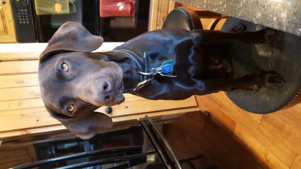 /Images/uploads/Humane Society of Utah/HSUCalendar/entries/1001thumb.jpg
